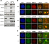 FIG 4