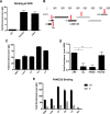 FIG 6