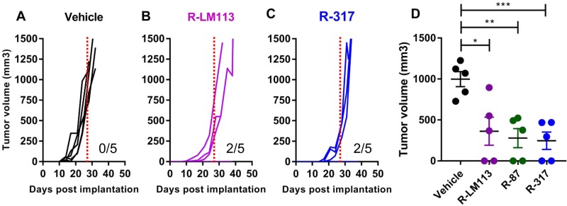 FIG 6