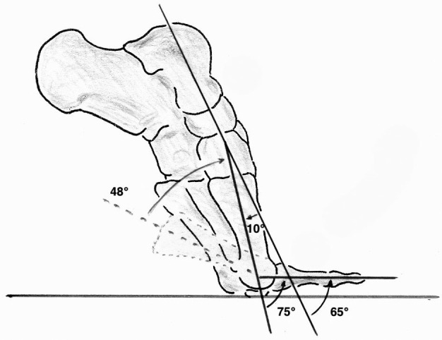 Figure 2.