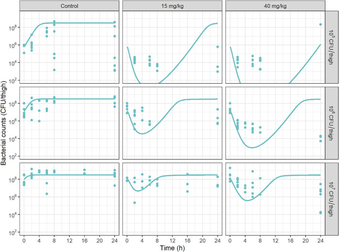 FIGURE 4