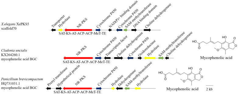 Figure 6.