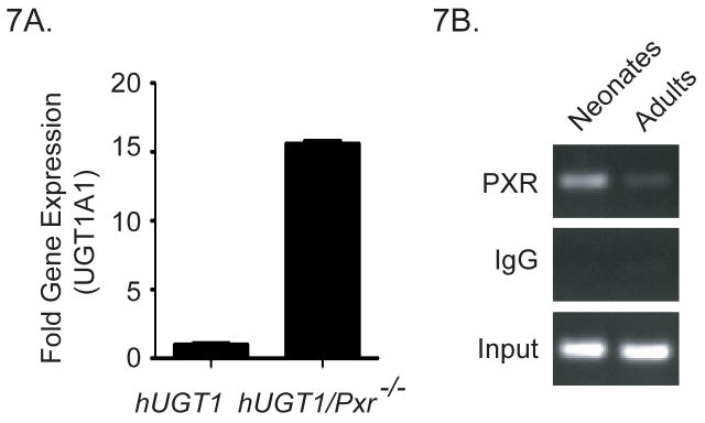 Figure 7