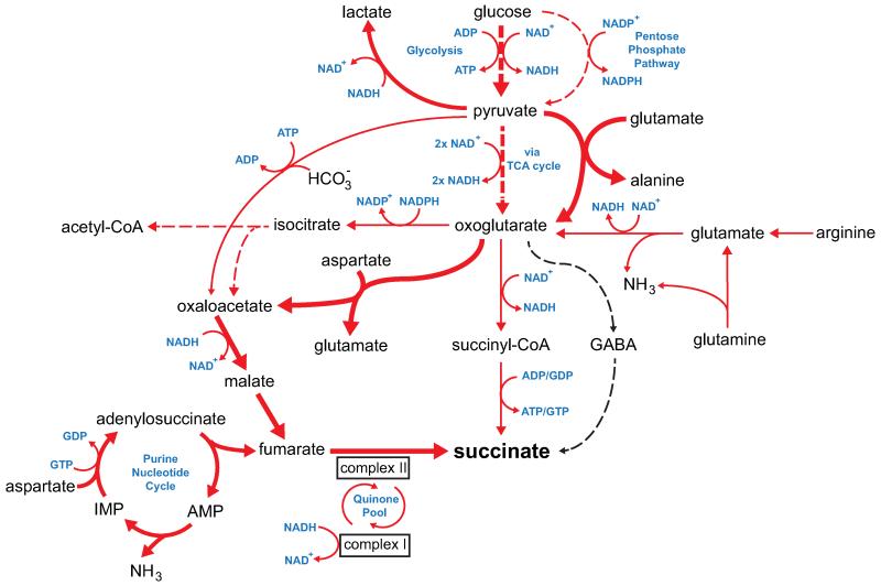 Extended Data Figure 6