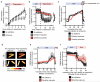 Extended Data Figure 9