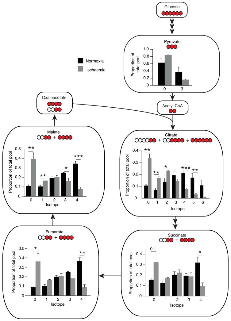 Extended Data Figure 3