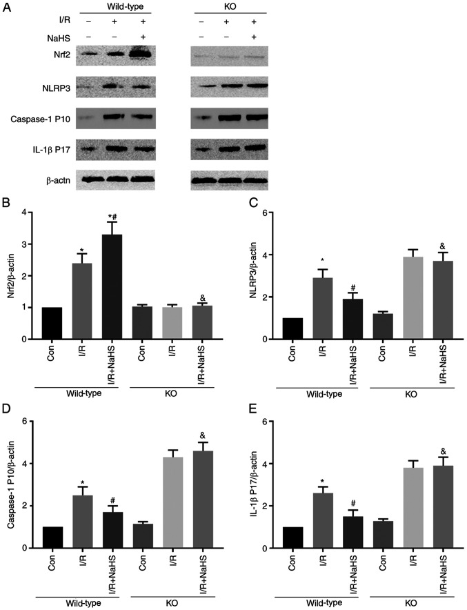 Figure 6.