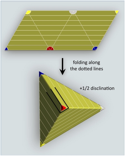 Fig. 1.