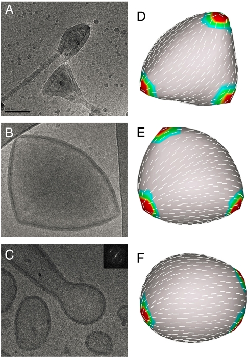 Fig. 3.