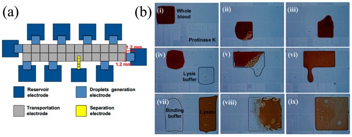 Figure 14