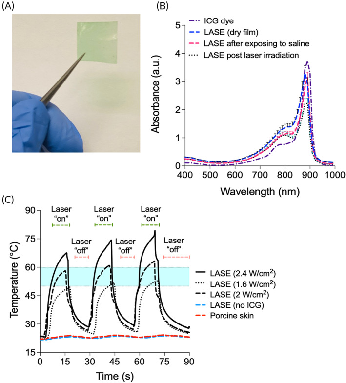 FIGURE 2