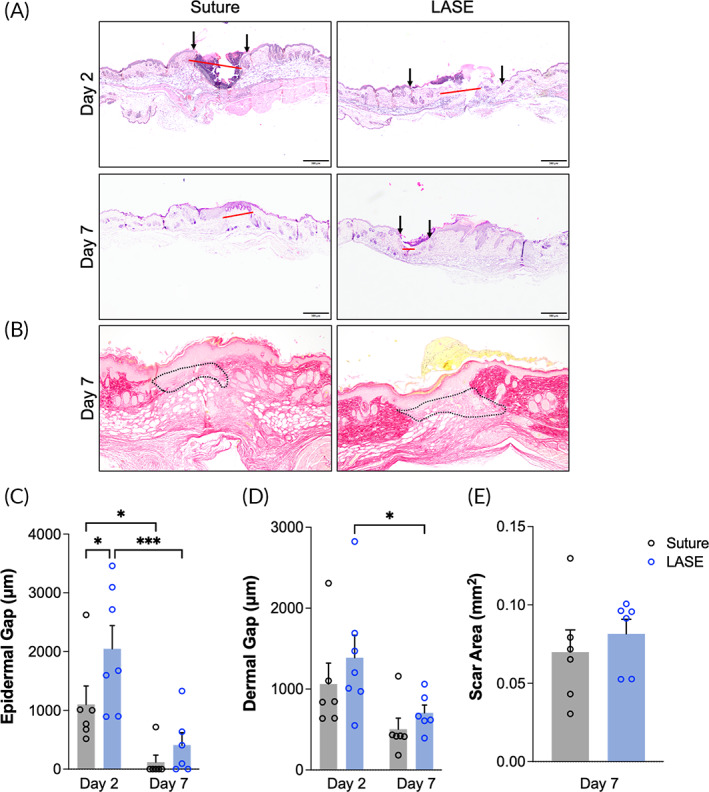 FIGURE 6