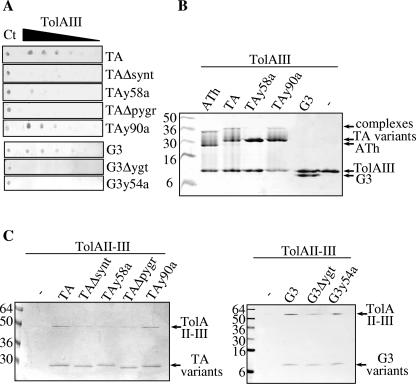 FIG. 3.