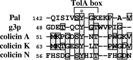 FIG. 6.