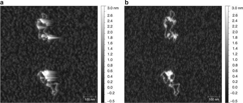 Fig. 5