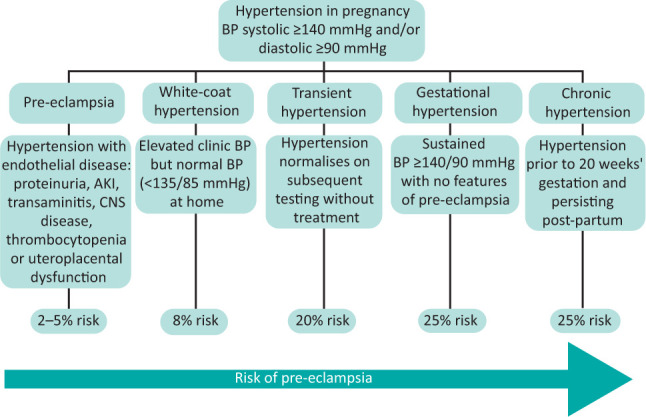 severe-hypertension-in-pregnancy-pmc