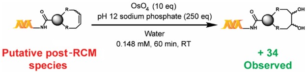 Scheme 3