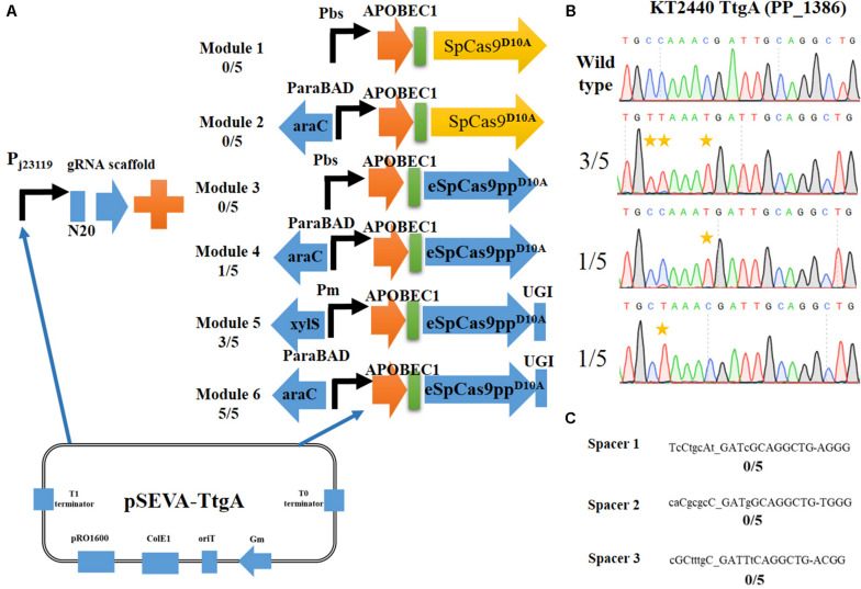 FIGURE 2