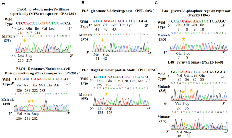 FIGURE 4