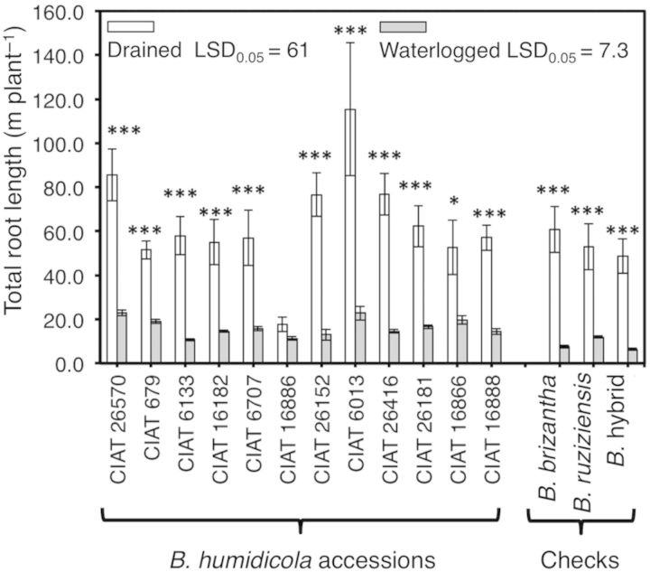 Figure 4.