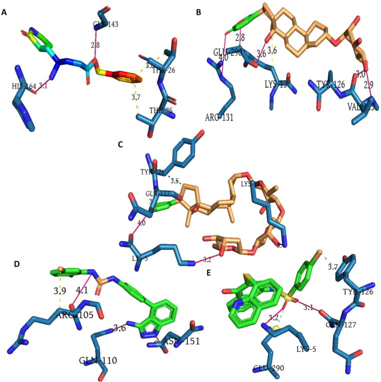 Figure 9.