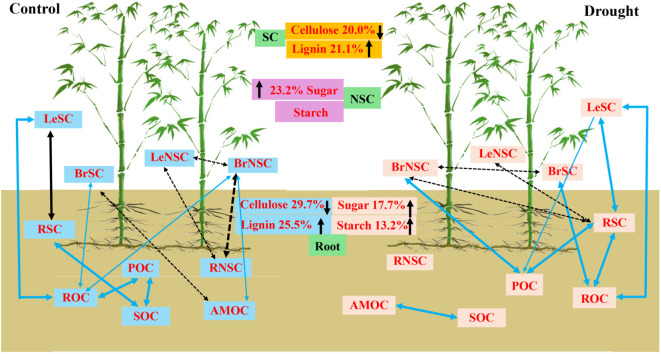 Figure 6