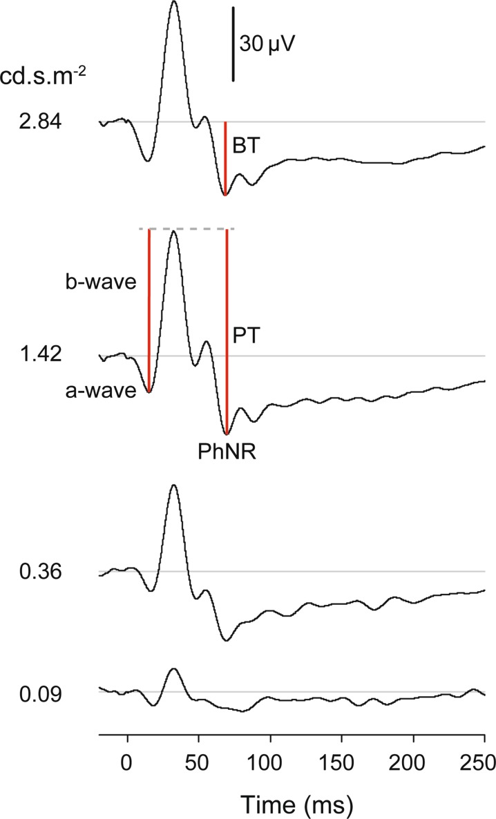 Fig. 1