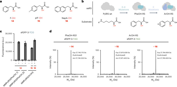 Fig. 3