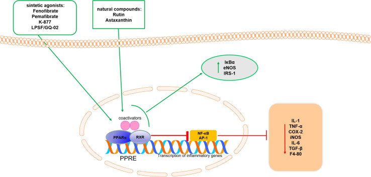 Fig. 1