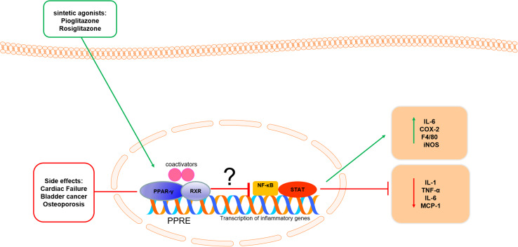 Fig. 3