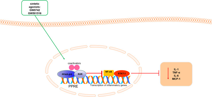 Fig. 2