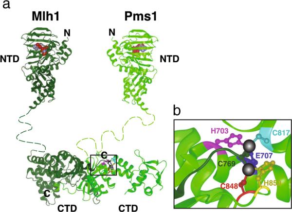 Fig. 4