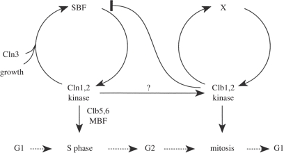 Figure 2.