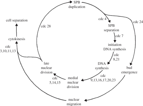 Figure 1.