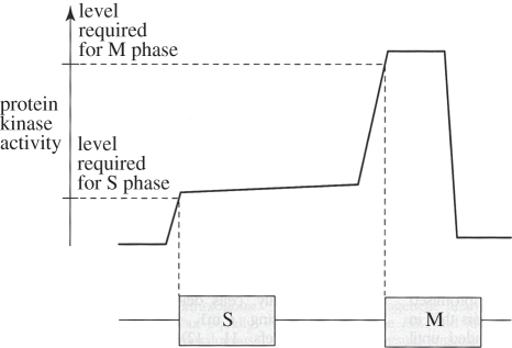 Figure 3.