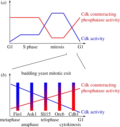 Figure 4.