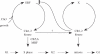 Figure 2.