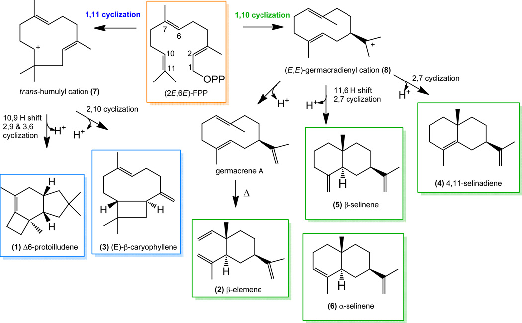 Scheme 1