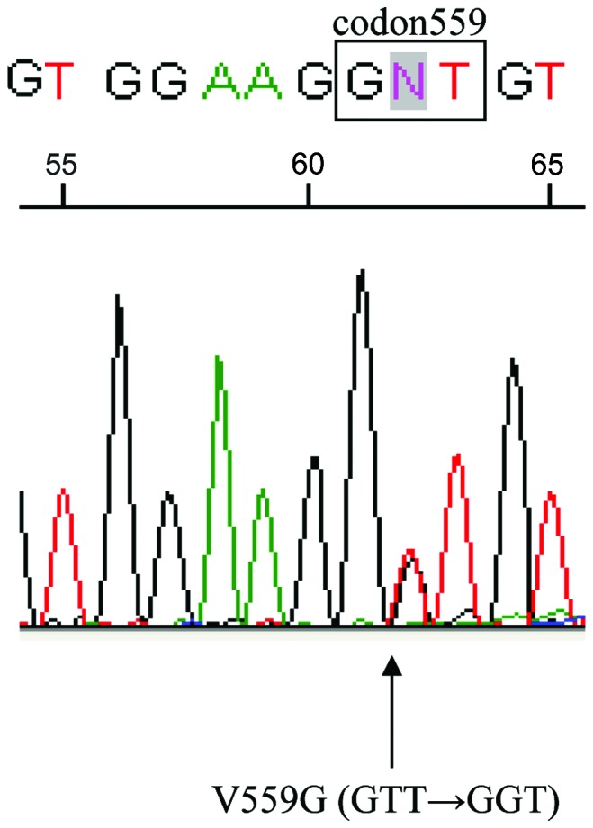 Figure 2.