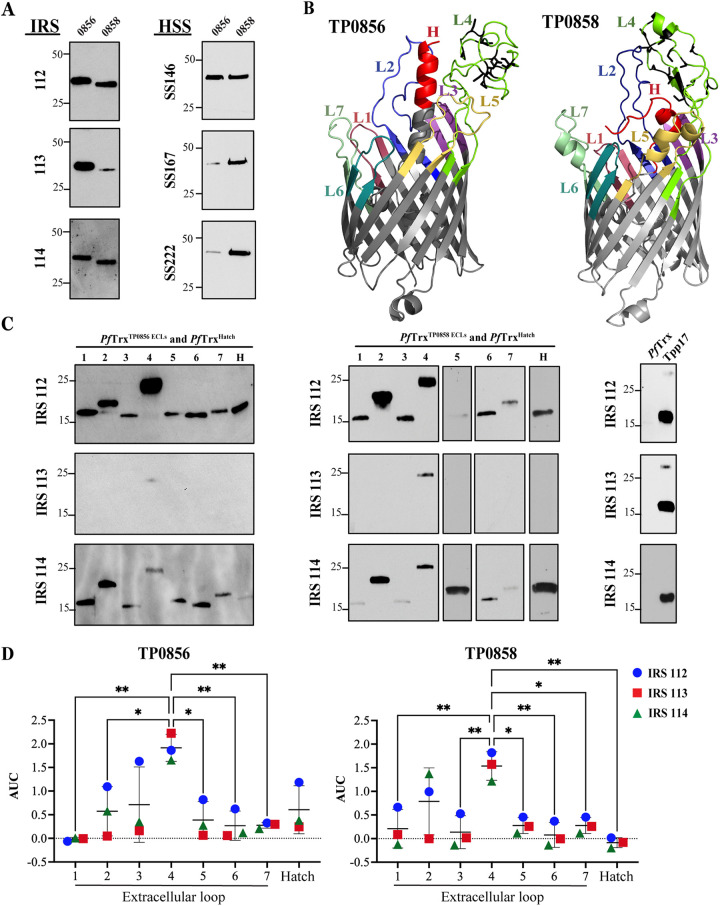 FIG 3