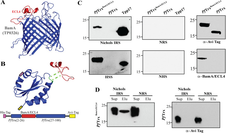 FIG 2