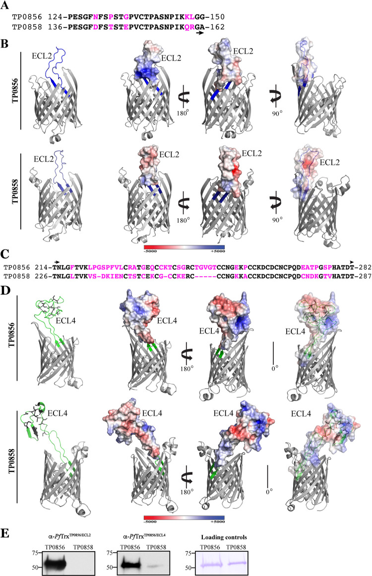 FIG 4