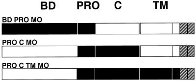 FIG. 7