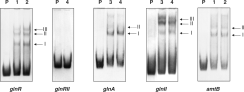 Figure 1.