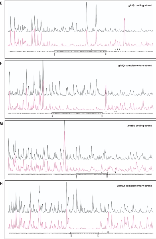 Figure 2.