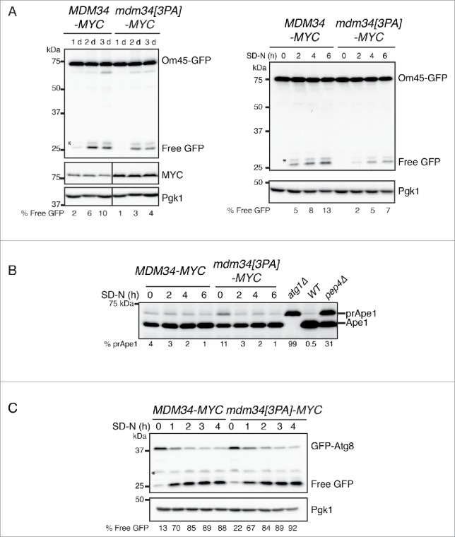 Figure 10.