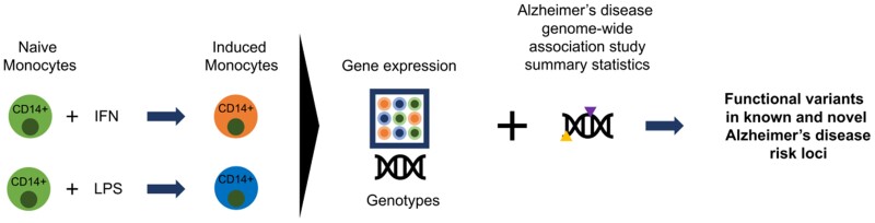 Graphical Abstract