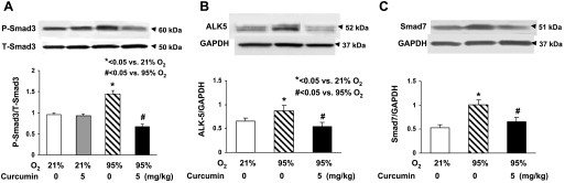 Fig. 9.