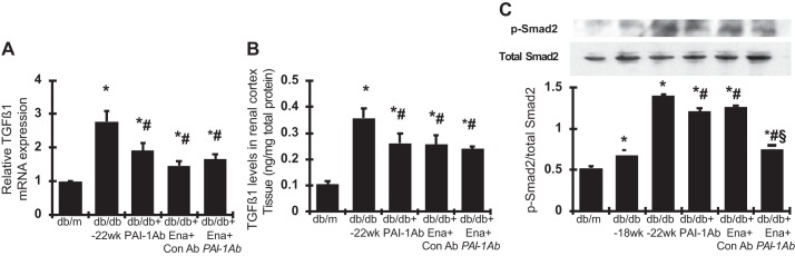 Fig. 11.