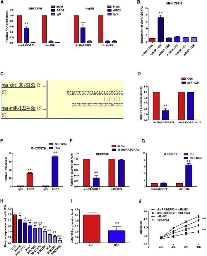 Figure 6